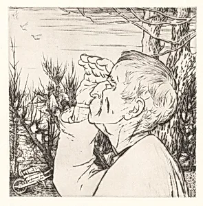 Le Vol de Oiseaux (The Flock of Birds) [plate 8]