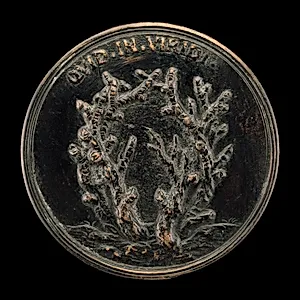 Leafless Branches [reverse]
