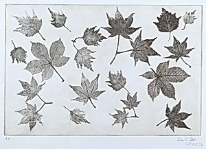 Leaves