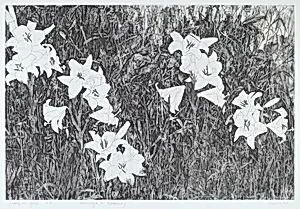 Leaves of Grass: Hommage a Kennedy