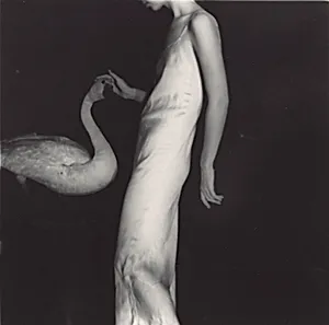 Leda and Swan