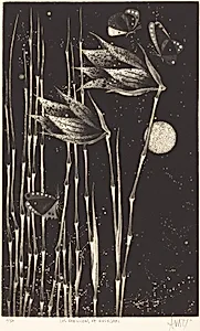 Les Papillons de Nagasaki