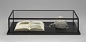 (lineament-ball)