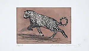 Little Leopard