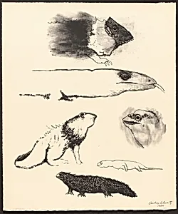 Lizards and Snakes