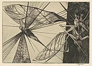 Locust