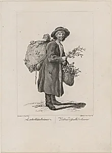 Lorberbläterkrämer (Bay Leaf Seller)