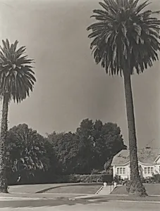 Los Angeles 3
