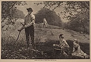 Making Hay