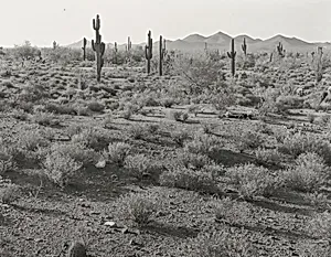 Maricopa County, Carefree Highway East of I-17, Looking Southeast to an Area to be Subdivided Within the Year