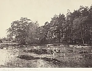 Marsh at Piat (Belle-Croix Plateau)
