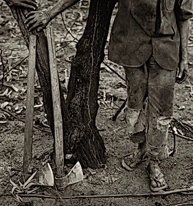 Mauro Ferreira das Neves (Legs and Tool), Grande Sertão Veredas National Park, Brazil