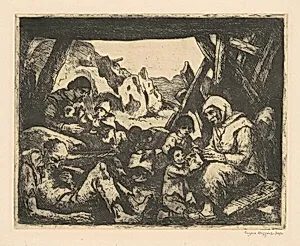 Meager Shelter