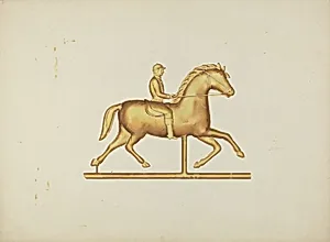 Metal Weather Vane