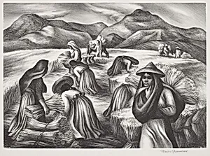Mexican Harvest