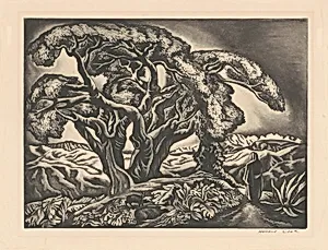 Mexican Landscape