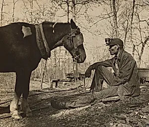 Miner and Mule