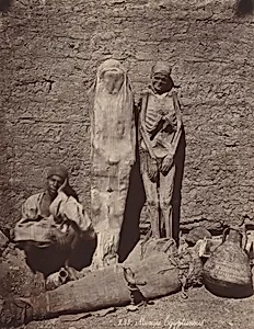 Momies Egyptiennes (Egyptian Mummies)
