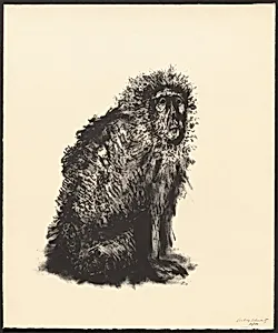 Monkey