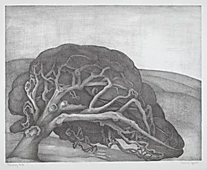 Monterey Oak