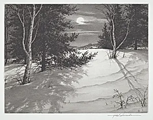Moon Shadows
