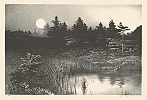 Moonrise
