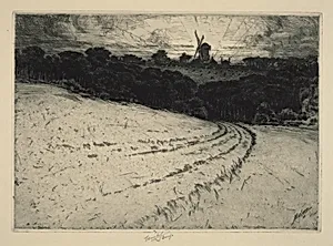 Morning, Canonicut Island