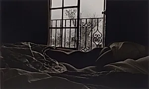 Morning Light