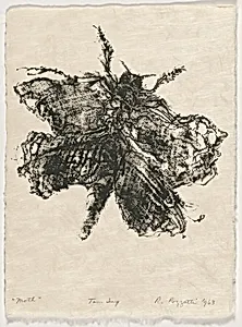 Moth from Bugs