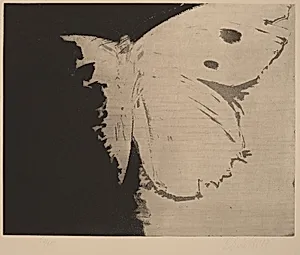 Motyl (Butterfly)