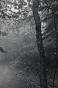 Mount Desert, Maine