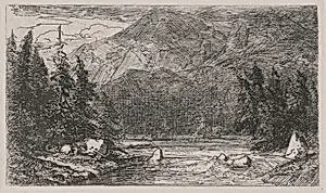 Mountain Stream with Rapids