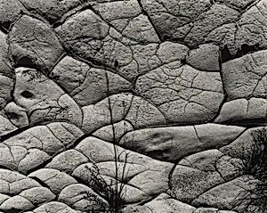 Mud Crack