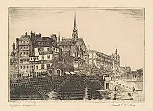 Napoleon Bridge, Paris