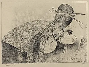 Natura No. 13 (Nature No. 13)