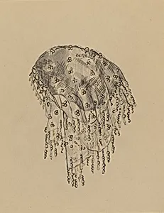 Net Cap