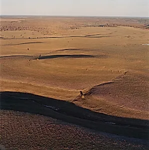 Newly burned area and grasses