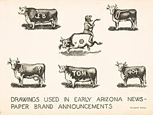 Newspaper Brand Announcements