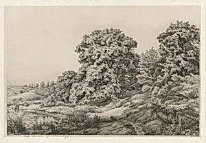 Oaks near a Pond