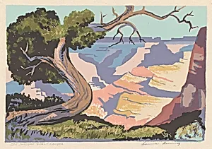Old Juniper—Grand Canyon