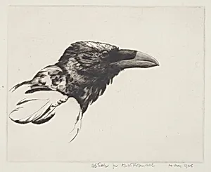 Old Raven