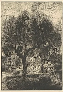 Olive Pickers