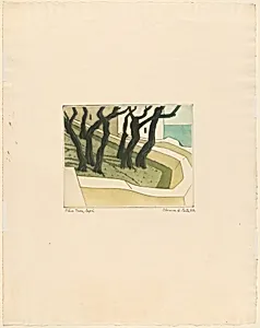 Olive Trees, Capri