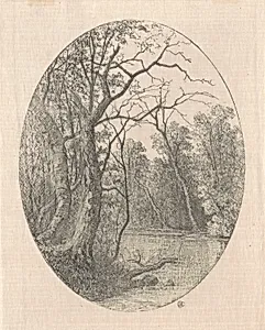 On Laurel Creek