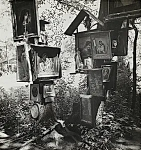 Our Lady of the Forest (Panna Marie v lese)