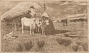 Oxen Yoked to a Cart (Maremma) (Bovi al carro (Maremma))