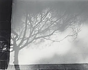 Paisaje inventado (Invented landscape)