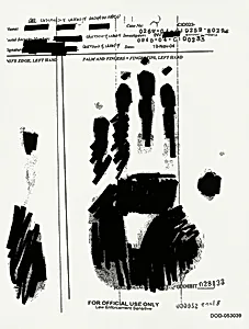 PALM AND FINGERS + FINGERTIPS, LEFT HAND 000052