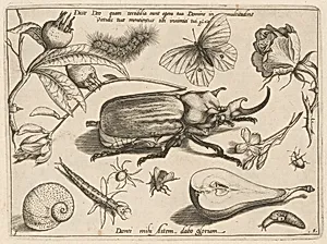 Part 1, Plate 1, from the series Archetypa studiaque (Archetypes and Studies)
