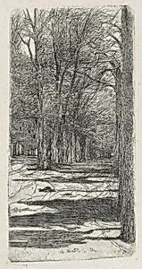 Path in Parco delle Cascine (Un viale interno delle Cascine)
